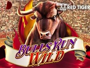 Bulls Run Wild game thumbnail